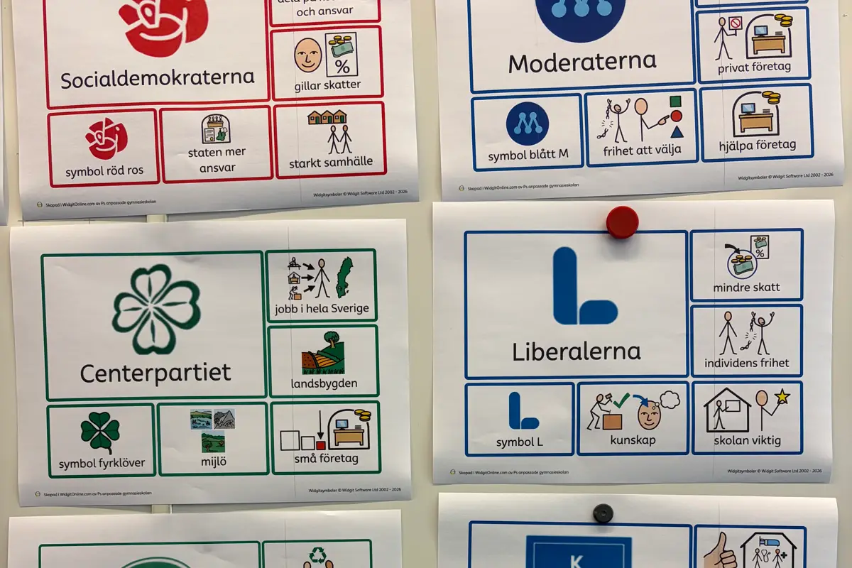bildstöd, partierna