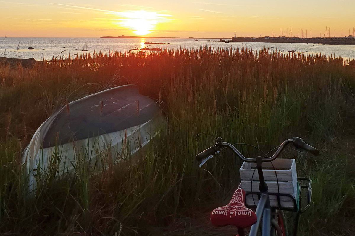 Eka och cykel på stranden i solnedgång