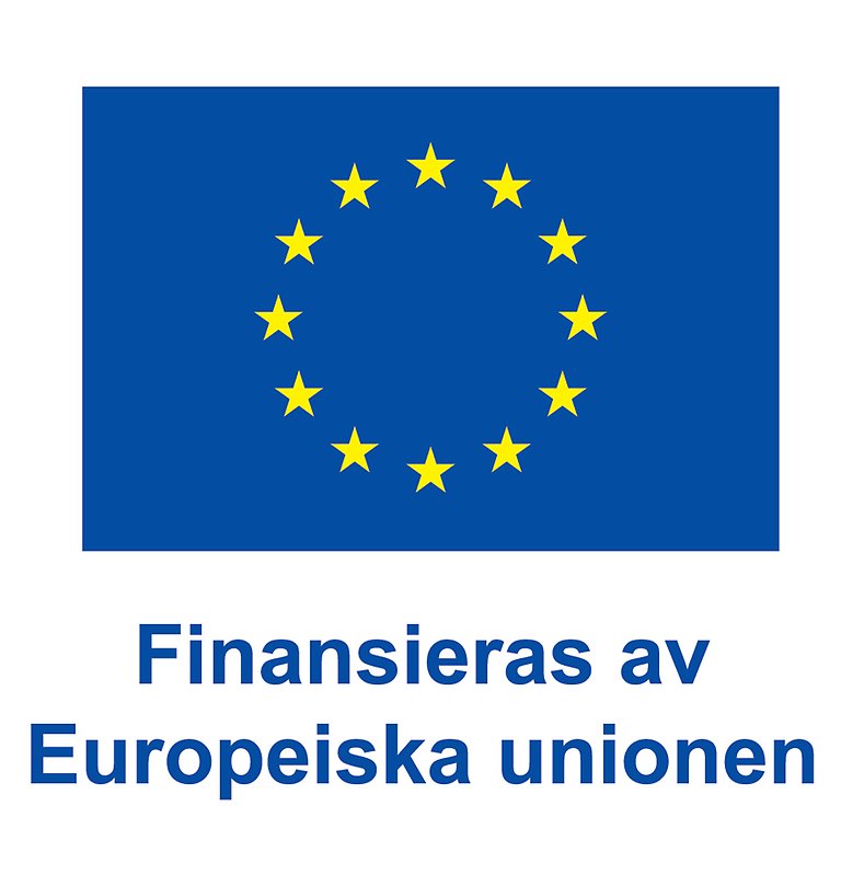 Finansieras av Europeiska unionen, logotyp.
